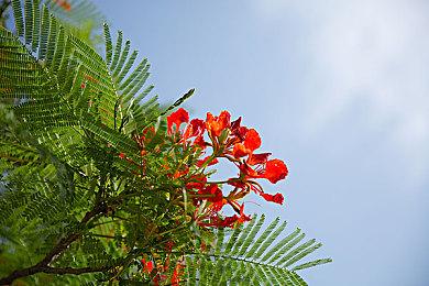 Steam测试支持4K和超宽屏显示器格式游戏视频录制